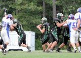 Soph-WTwp115