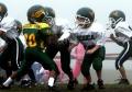 O LIne 1