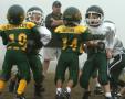 O Line 3