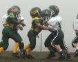 O line 5