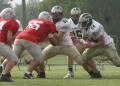 oLINE