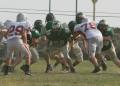 Oline 2