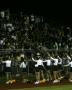 fans