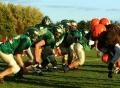 O Line 5