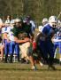 Herndon 8