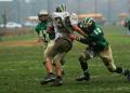 Fresh Defense 3
