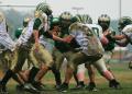 Fresh Defense 4