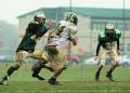 Fresh Defense 5