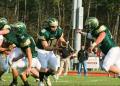 Backfield action