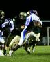 Herndon 2