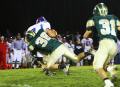 Herndon sack 2