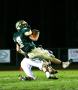 Nice Catch