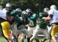 oline 1